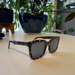 Madewell Costello tortoiseshell sunglasses